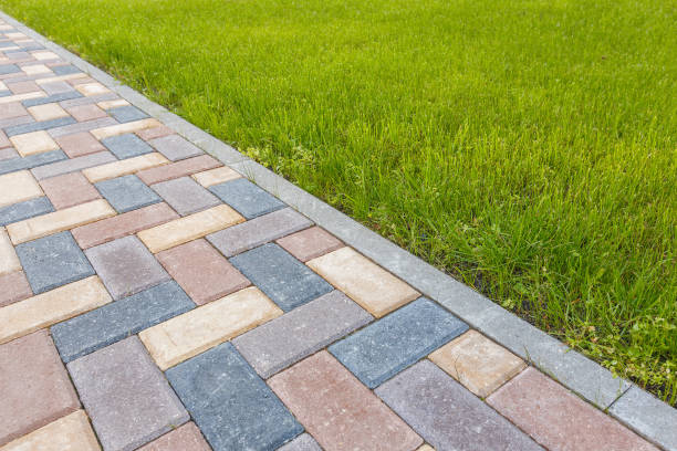 Best Driveway Paving Contractor  in Archer, FL